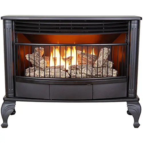ProCom Dual Fuel Natural Gas Stove Heater