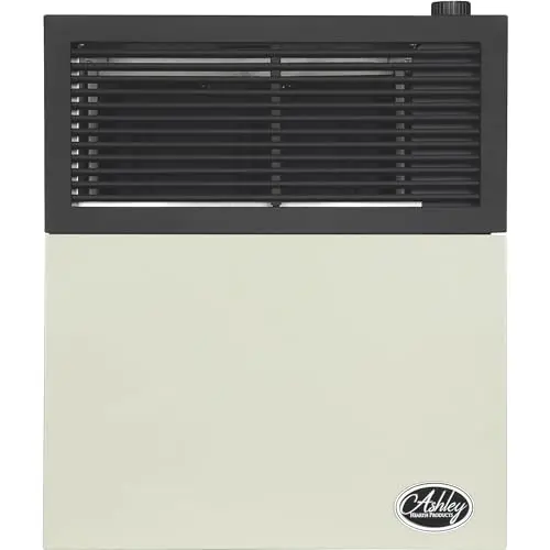 Ashley Hearth Direct Vent Natural Gas Heater